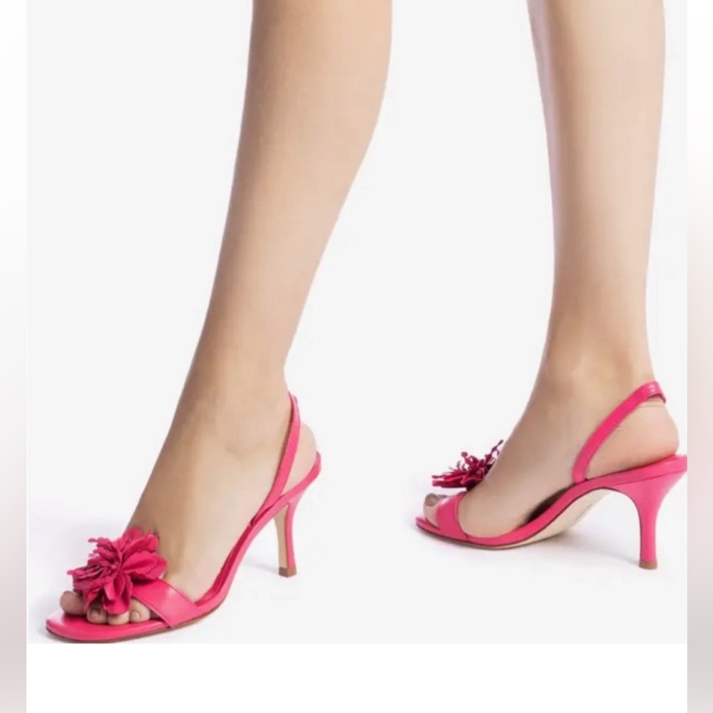 Larroude
Women's Pink Hibiscus Slingback
Sandal size 10 gently used